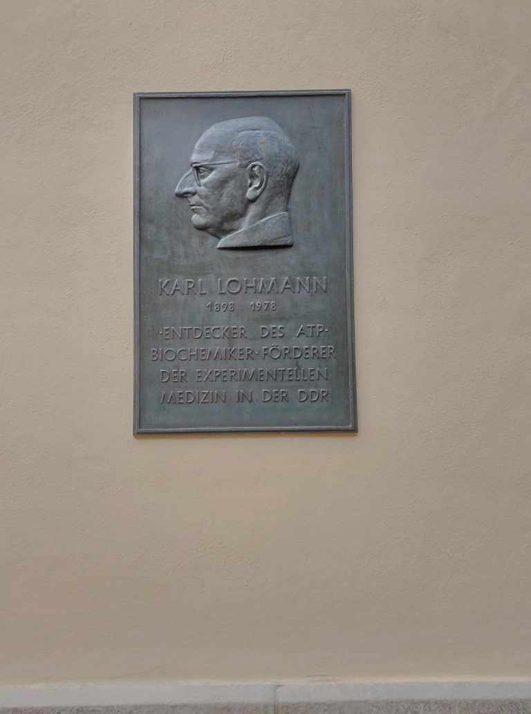 Wiedereinweihung der KarlLohmannGedenktafel LeibnizSozietät der